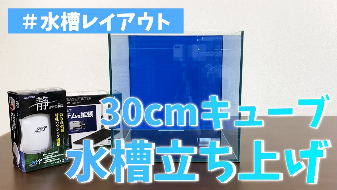 30cmキューブ水槽立ち上げ 底面フィルターでエビ天国を作ろう 緑の絨毯作り アクアリウム 30cm水槽 水草水槽 Youtube 30cmキューブ水槽立ち上げ 底面フィルターでエビ天国を作ろう 緑の絨毯作り アクアリウム 30cm水槽 水草水槽 Youtube
