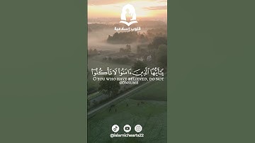سورة النساء - 27-29 | محمد اللحيدان 💕 #قران_كريم  #قرآن