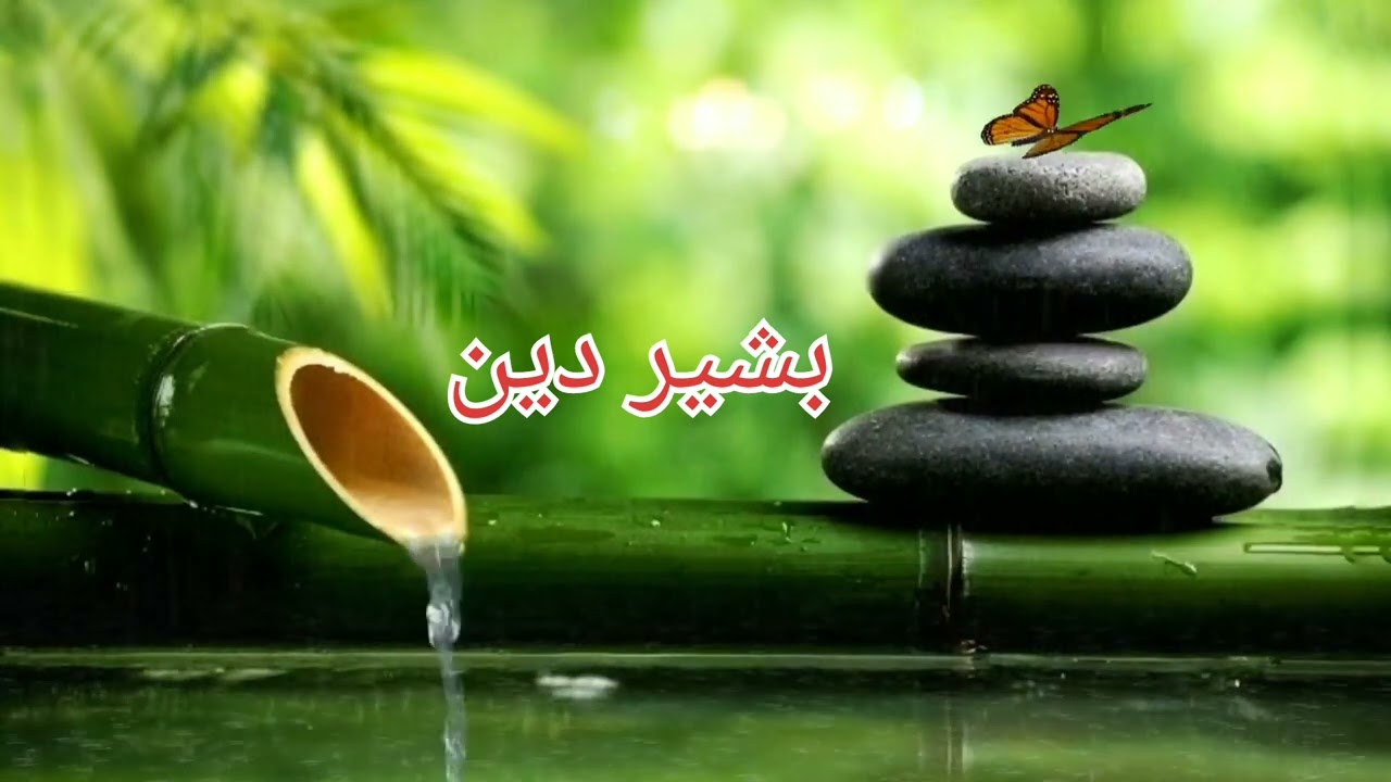 المقرئ بشير دين من سورة الكهف  .