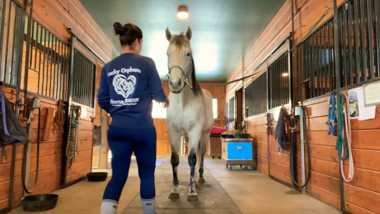 Orientation with Casper