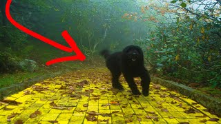 The TRUTH Behind The 'Abandoned' Land Of Oz..