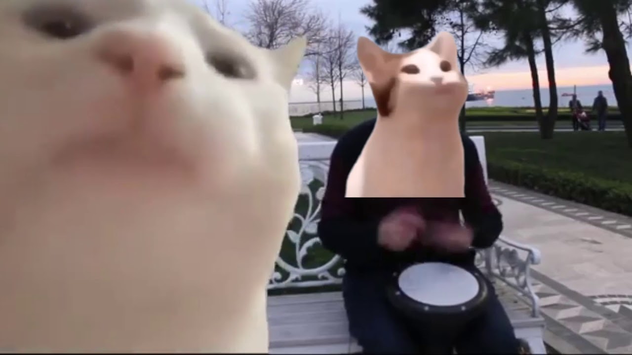 POP Cat & Vibing Cat