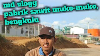 pembuangan limbah sawit Di Kota Muko-muko