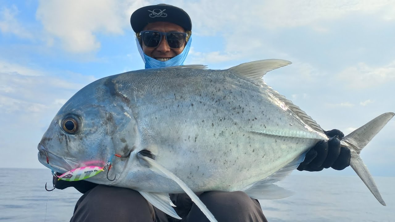 Ultralight Jigging❗️Rod Pioner Evo Mampu Menaikkan Giant Travelly Babon