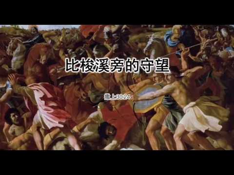 牧场馨声｜比梭溪旁的守望 20260729