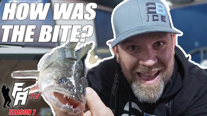 Insane Lake of The Woods Walleye NightBite in a Sn...