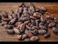 Proceso de Cosecha y Beneficio del Cacao - TvAgro por Juan Gonzalo Angel