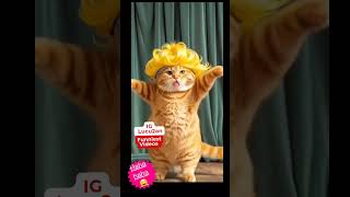 Download Lagu 🔴 #11 Cat #funny #animals #viralshorts #cuteanimals MP3 Download Lagu 🔴 #11 Cat #funny #animals #viralshorts #cuteanimals MP3
