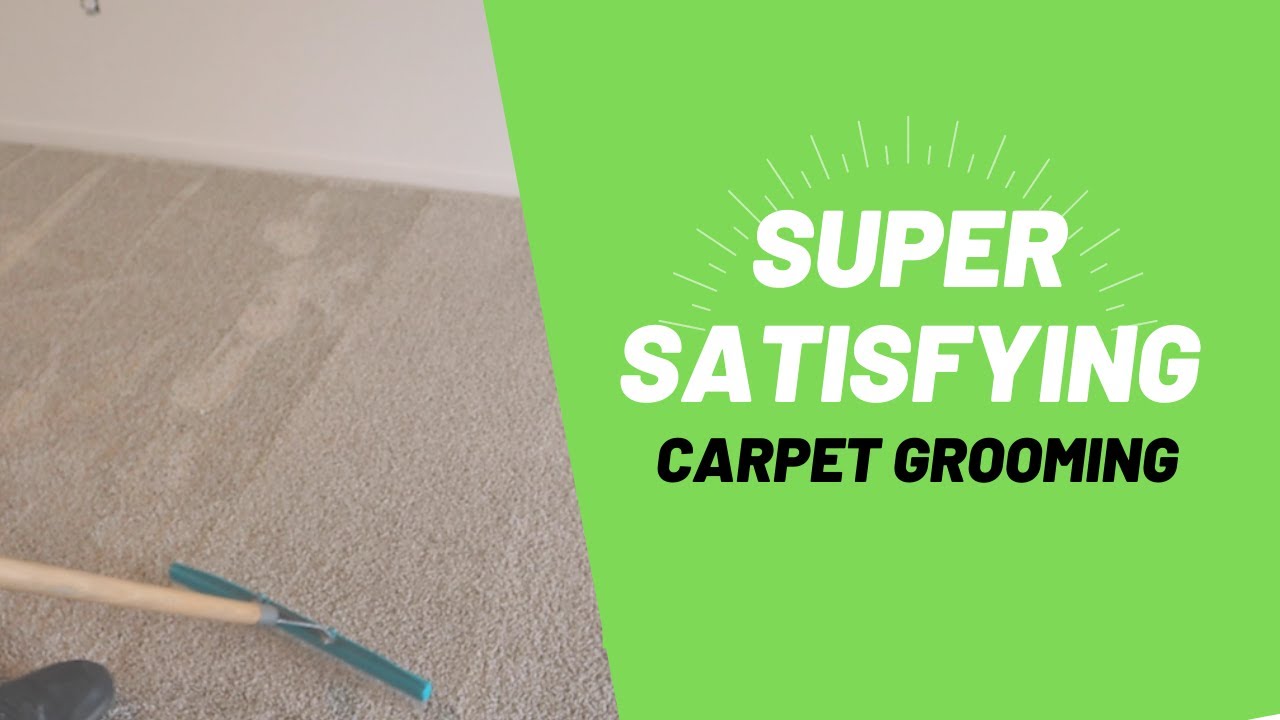 Satisfying Carpet Grooming / Super Relaxing! YouTube