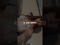 nena paso el tiempo tiktok 10 #music #y2kmusic #musica #lifeisbutadream #underargentino #2000s