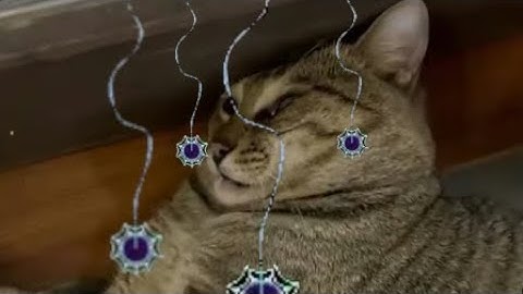 Decarabia world boss build showcase │ My heroes: Dungeon raid