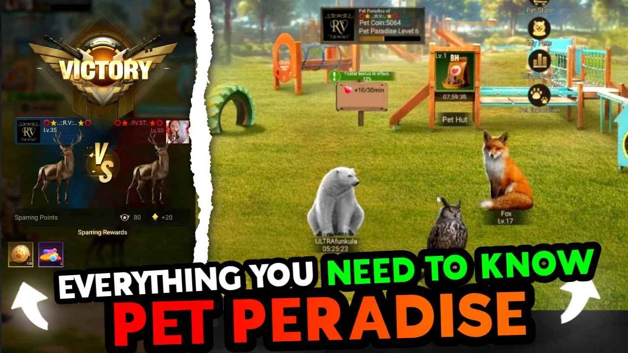 Pet Paradise 🔥 Everything You Need To Know 🔥 Tips