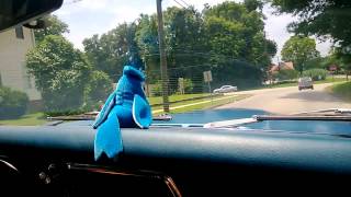 Pontiac Firebird Drive by Dan Scrivner 255 views 10 years ago 1 minute, 38 seconds