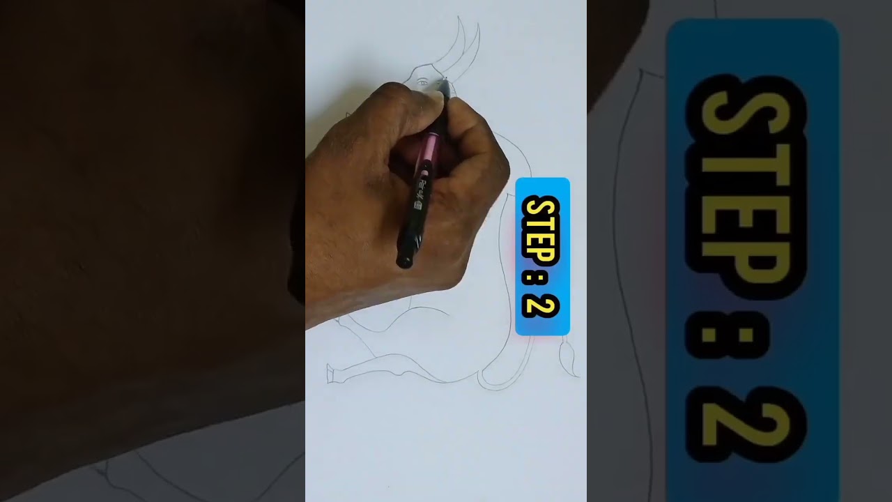 How to draw cow drawing easy step / jallikattu cow drawing/ bull drawing @ajipriya_drawing