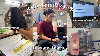 a slow sunday vlog 🫧༘⋆ | hair care routine, staying productive, self care activities etc | RD 15  🎐