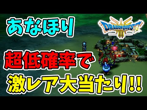 【ちょこさん以外買わないでね】ドラクエ3 Switch ドラクエ3リメイク】あなほり超低確率で大当たりが引けるので