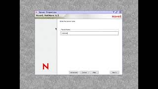 Installing: Novell Netware 6.5 SP8 (x86) Net Worth