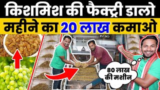 1 महीने का काम 1 रात में😱किशमिश के Factory से 100x Profit💰💯Indian Farmer