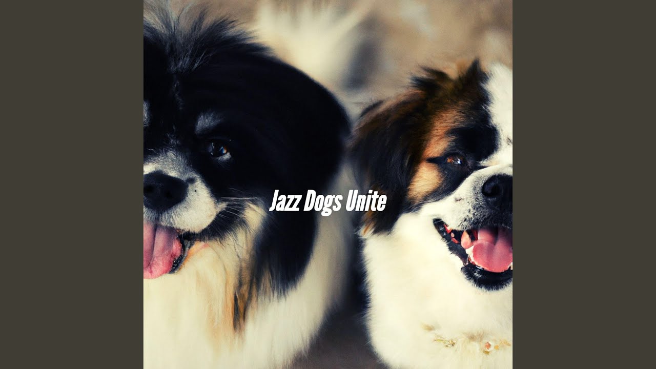 Retro Music for Relaxing Your Dog