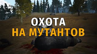 368. Охота на мутантов. Выживаю на СПБ сервере в Сталкер Онлайн.