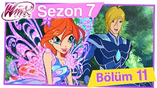 Winx Club - 7. Sezon 11. Bölüm - Ormanda görev [TAM BÖLÜM]