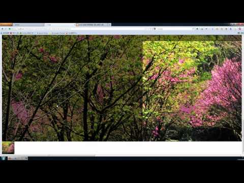 ASP.NET MVC 3 + jQuery imgAreaAelect + fancyBox