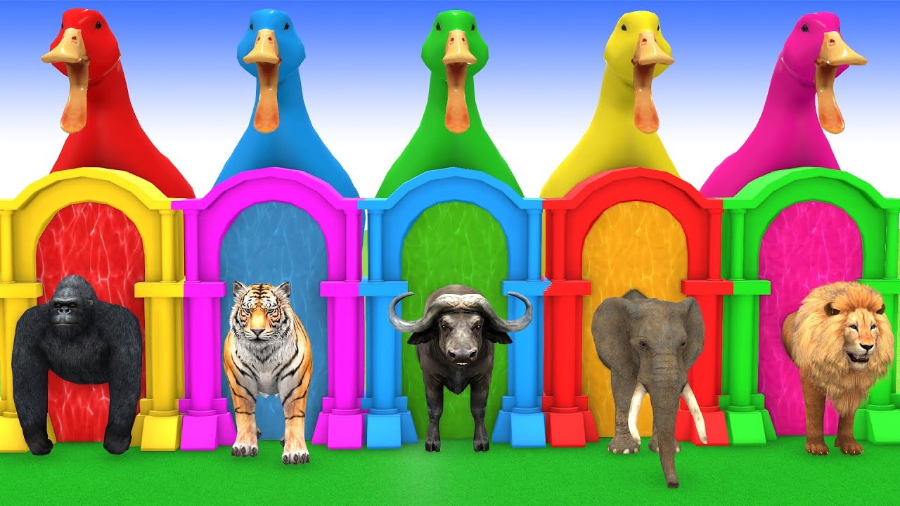 Long Slide Game With Cow Elephant Gorilla Hippopotamus Tiger 3d Animal Game Funny 3d Animals