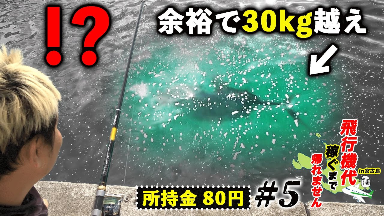 Caution: Goosebumps!] A 30kg Dogtooth Tuna Appeared Right at My