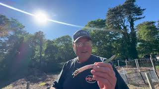Live From Cape Cod Rivers Farms Making The Call For New England Weekend Weather Looking Good