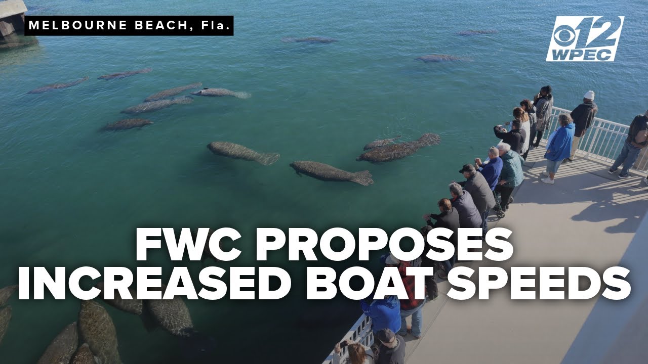 FWC proposes increased boat speeds in Indian River Lagoon near previous manatee hot spots
