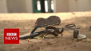Nigeria kidnappings: 'Girls started running from the dormitory' - BBC News