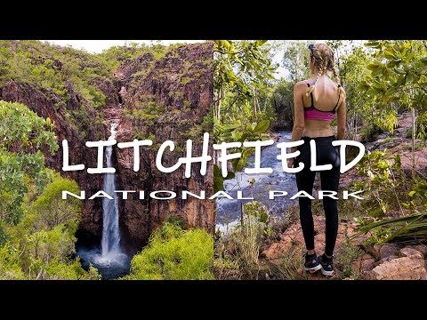 Best Things to do in Litchfield National Park! | Darwin, Northern Territory, Australia