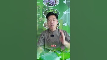 M..ẹo tiện ích gửi tới bà con cô bác#não #xươngkhớp #duocsiquan