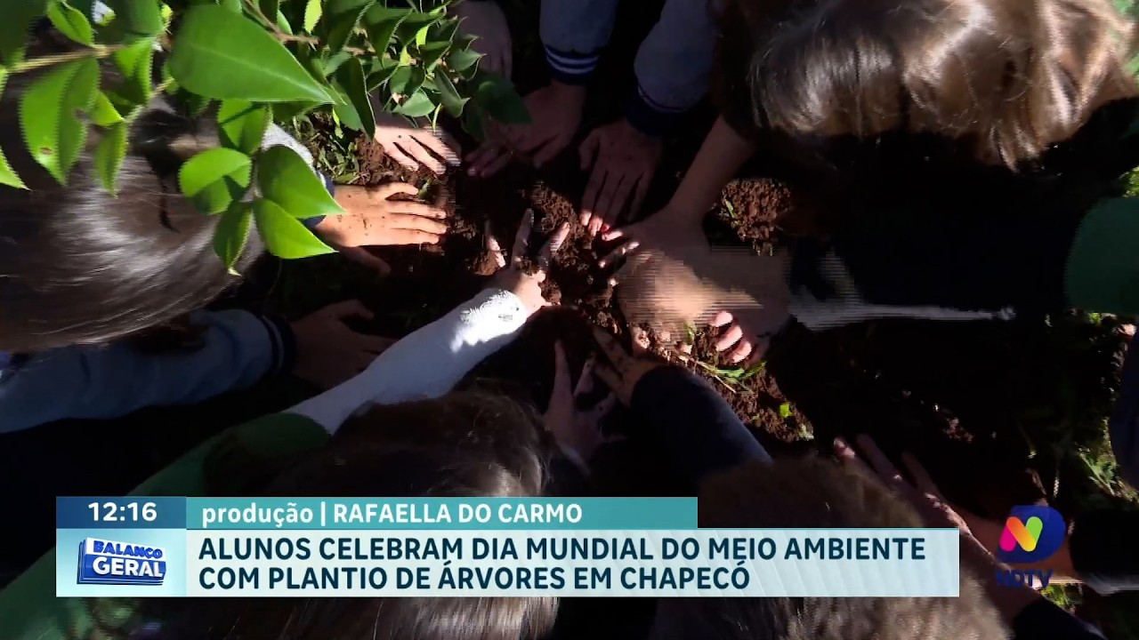 Ação marca Semana do Meio Ambiente com plantio de árvores