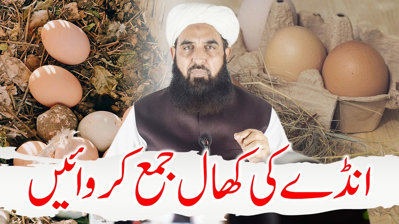 Ghlam Injan Andy Ki Khal Jama Krwain | انڈے کی کھال جمع کروائیں | Molana Ilyas ...