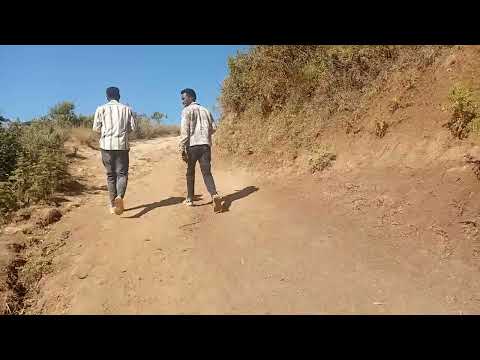 Badiyyaa AKKOO KOO Biraa Deemaa Jiraa Love To AKKOO KOO