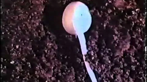 Б-6_Учебный фильм 