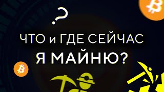 ЧТО и ГДЕ сейчас МАЙНЮ?