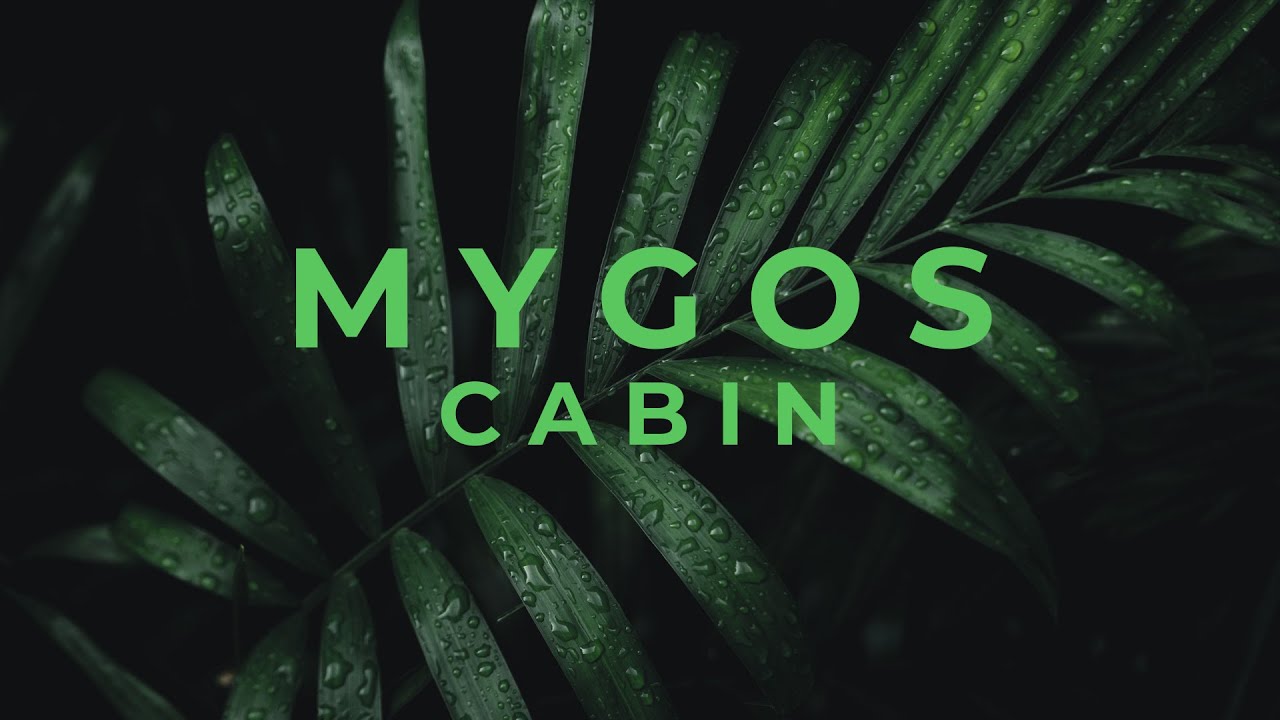 Mygos Technology MYPLANT Cabin | Growing Basil