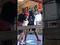 Tim Tszyu Sparring