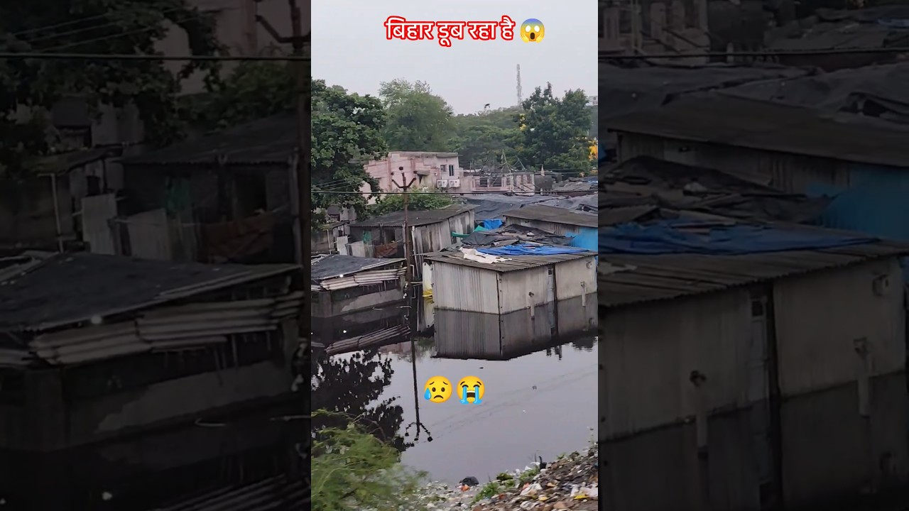 बिहार डूब रहा है 😱 #वायरल #ट्रेंडिंग #फनीमोमैंट्स #कार्टून #एनिमेशन