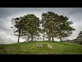 Walk with us up Craigh na Dun