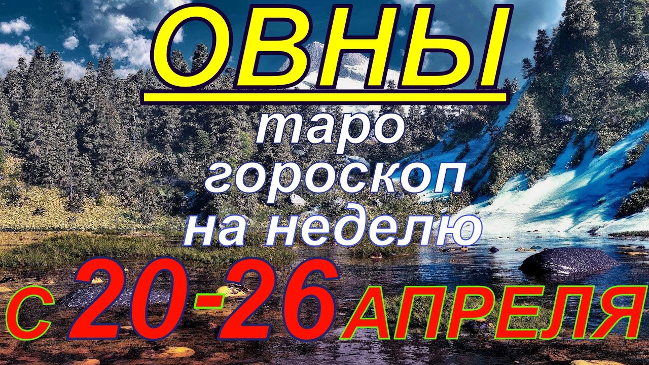 Кому Принадлежит Реальная Власть В России?