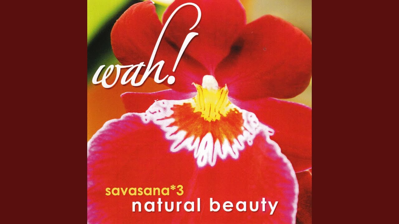 YouTube에서 Twilight 보기 YouTube에서 Twilight 보기