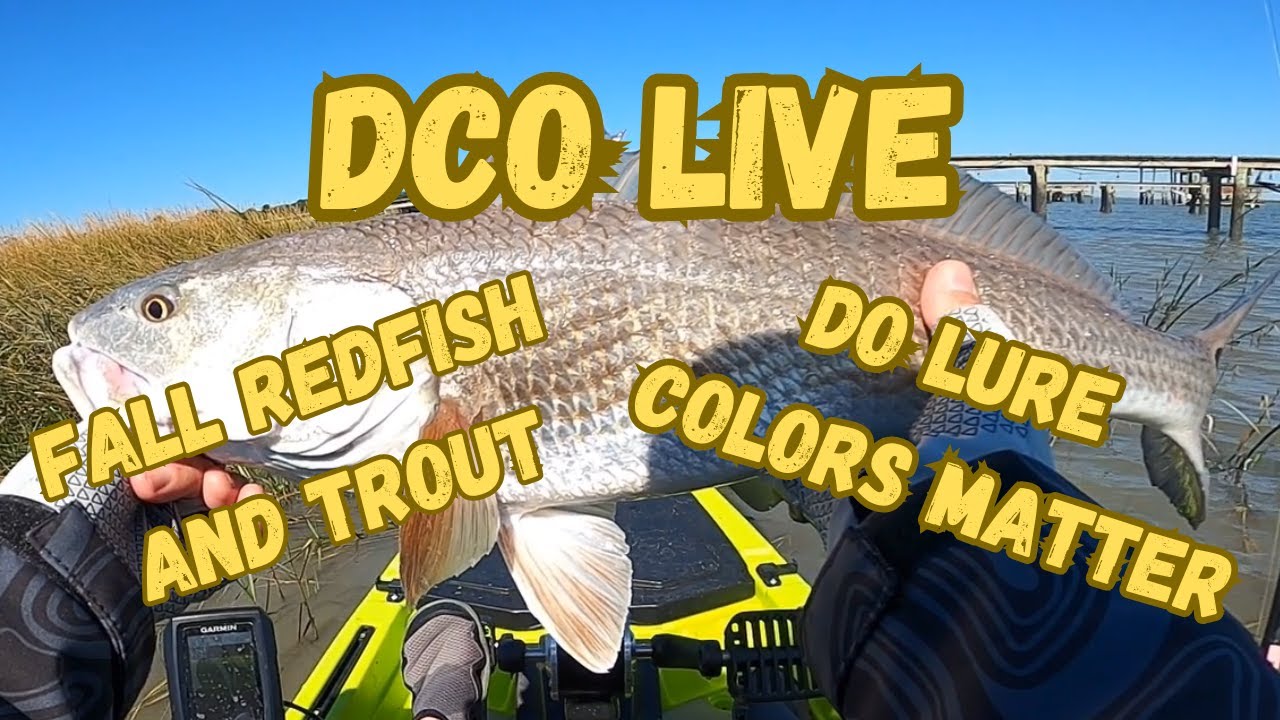 Do Lure Colors Matter for Fall fishing Redfish Speckled Trout and ...