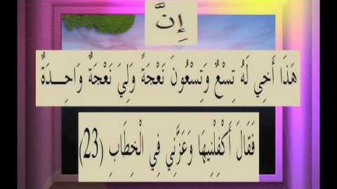 القرآن الكريم سورة ص الأية 23