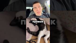 #говорючточувствую#мысливслух#психологвреках#контентдушой#личностныйрост#внутренниймир#будьсобой