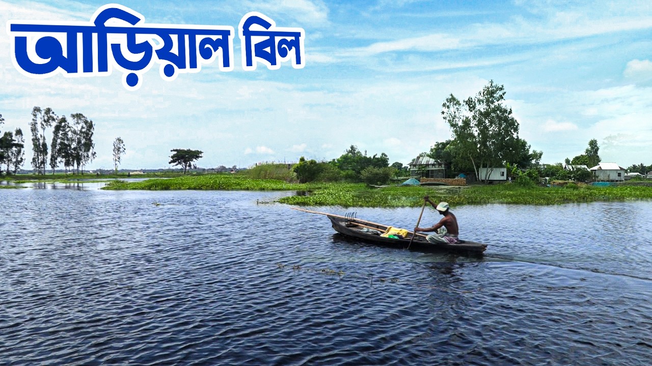 রূপের মায়ায় স্নিগ্ধ ভরা বর্ষায় আড়িয়াল বিল
