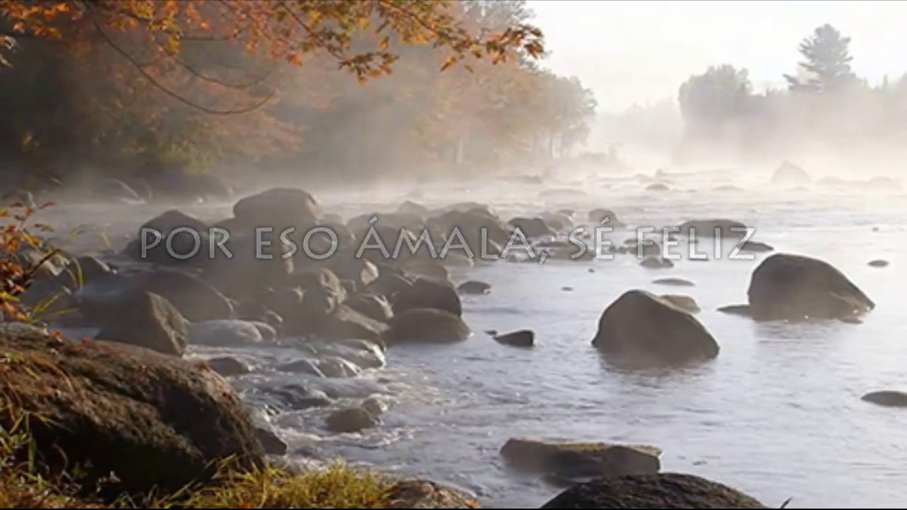 Hermosa Reflexión que Puede Cambiar tu Vida - YouTube
