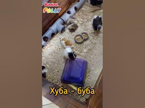хуба- буба - YouTube